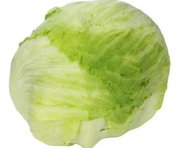 Fresh Lettuce